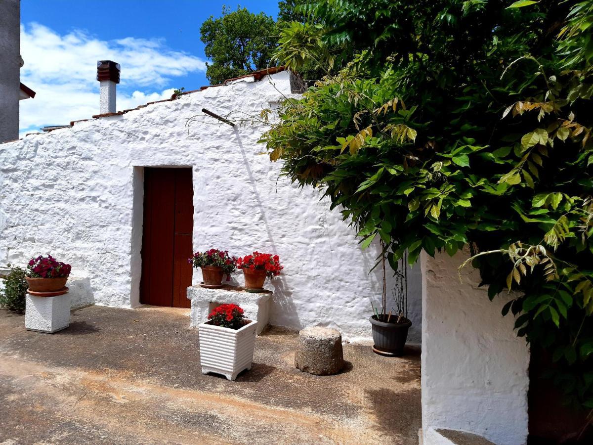 B&B Bell'Aria Monopoli Exterior photo
