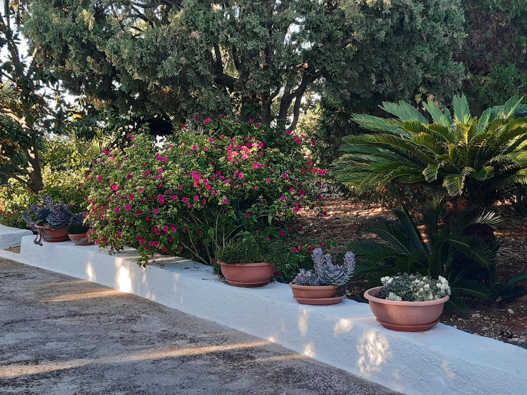 B&B Bell'Aria Monopoli Exterior photo